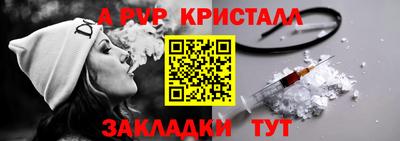 гашик Будённовск
