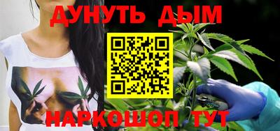 гашик Будённовск