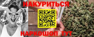 гашик Будённовск